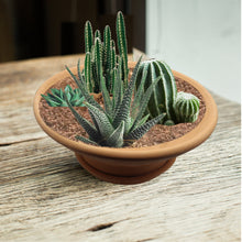 Load image into Gallery viewer, Handmade Pottery Clay Planter, Natural Terracotta plant pot, flower pots with Saucer, earthenware flowerpots