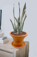 Load image into Gallery viewer, Handmade Pottery Clay Planter, Natural Terracotta plant pot, flower pots with Saucer, earthenware flowerpots