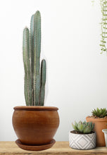 Load image into Gallery viewer, Handmade Pottery Clay Planter, Natural Terracotta plant pot, flower pots with Saucer, earthenware flowerpots, Hand painted planters