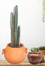 Load image into Gallery viewer, Handmade Pottery Clay Planter, Natural Terracotta plant pot, flower pots , earthenware flowerpots,