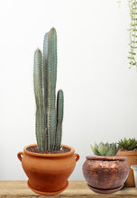 Load image into Gallery viewer, Handmade Pottery Clay Planter, Natural Terracotta plant pot, flower pots , earthenware flowerpots,