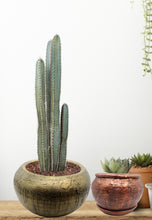 Load image into Gallery viewer, Handmade Pottery Clay Planter, Natural Terracotta plant pot, flower pots with Saucer, earthenware flowerpots, Hand painted planters