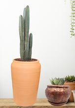 Load image into Gallery viewer, Handmade Clay Planter, Natural Terracotta plant pot, flower pots , Pottery flower pots (Copy)