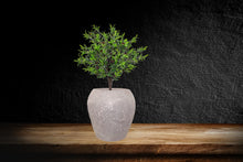 Load image into Gallery viewer, Handmade Terracotta Planter, Hand-Aged Artisan Urn, Weathered Vintage plant pot , Antique Pottery Centerpiece, Farmhouse Rustic Décor (Copy) (Copy)