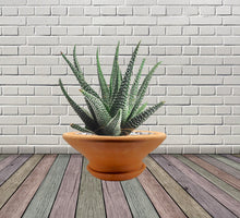 Load image into Gallery viewer, Handmade Pottery Clay Planter, Natural Terracotta plant pot, flower pots with Saucer, earthenware flowerpots