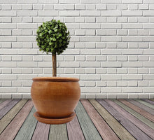 Load image into Gallery viewer, Handmade Pottery Clay Planter, Natural Terracotta plant pot, flower pots with Saucer, earthenware flowerpots, Hand painted planters