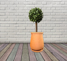 Load image into Gallery viewer, Handmade Pottery Clay Planter, Natural Terracotta plant pot, flower pots , earthenware flowerpots,