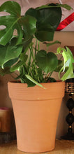 Load image into Gallery viewer, Handmade Pottery Clay Planter, Natural Terracotta plant pot, flower pots with Saucer, earthenware flowerpots
