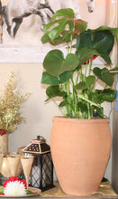 Load image into Gallery viewer, Handmade Pottery Clay Planter, Natural Terracotta plant pot, flower pots with Saucer, earthenware flowerpots
