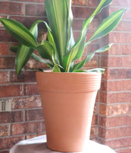Load image into Gallery viewer, Handmade Pottery Clay Planter, Natural Terracotta plant pot, flower pots with Saucer, earthenware flowerpots
