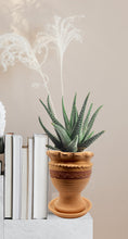 Load image into Gallery viewer, Handmade Pottery Clay Planter, Natural Terracotta plant pot, flower pots with Saucer, earthenware flowerpots
