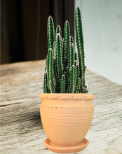 Load image into Gallery viewer, Handmade Clay Planter, Natural Terracotta plant pot, flower pots , Pottery flower pots
