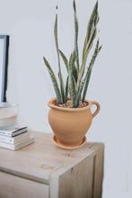 Load image into Gallery viewer, Handmade Clay Planter, Natural Terracotta plant pot, flower pots, Pottery flower pots (Copy)
