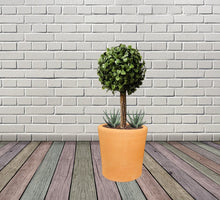 Load image into Gallery viewer, Handmade Clay Planter, Natural Terracotta plant pot, flower pots , Pottery flower pots
