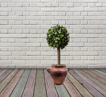 Load image into Gallery viewer, Handmade Pottery Clay Planter, Natural Terracotta plant pot, flower pots with Saucer, earthenware flowerpots, Hand painted planters
