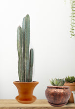 Load image into Gallery viewer, Handmade Pottery Clay Planter, Natural Terracotta plant pot, flower pots with Saucer, earthenware flowerpots
