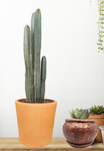 Load image into Gallery viewer, Handmade Clay Planter, Natural Terracotta plant pot, flower pots , Pottery flower pots

