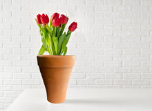 Load image into Gallery viewer, Handmade Pottery Clay Planter, Natural Terracotta plant pot, flower pots with Saucer, earthenware flowerpots
